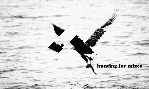 huntingformixes10