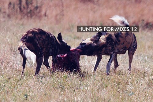 huntingformixes12